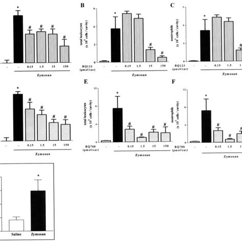 ET receptor blockade impairs 24 h zymosan-induced articular... | Download Scientific Diagram