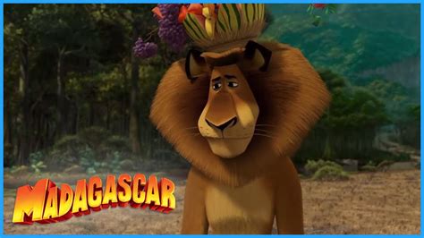 DreamWorks Madagascar | Alex Goes Off The Reservation | Madagascar: Escape 2 Africa Movie Clip ...