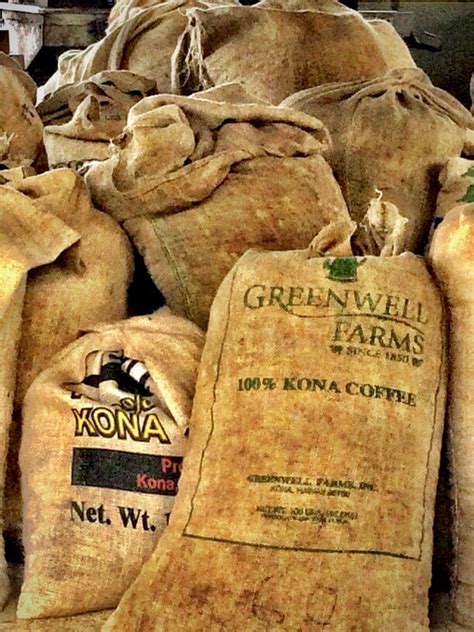 Best Kona Coffee Farms To Visit on the Big Island - Hawaii Travel with Kids