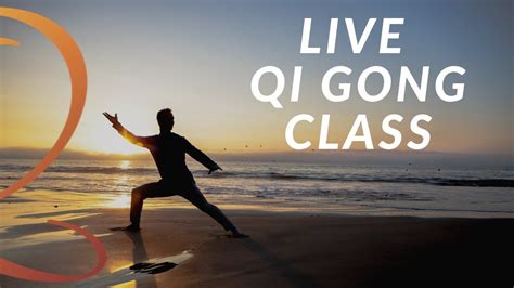 20-Minute Live Qi Gong Class with Lee Holden - YouTube | Qigong, Tai ...