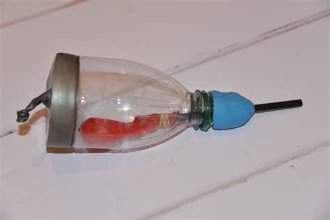 Balloon Bottle Lung Experiment - Best Pictures and Decription ...