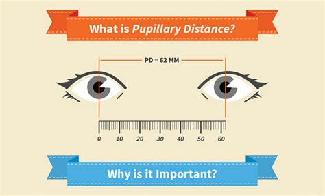 Learn All About Pupillary Distance | Zenni Optical