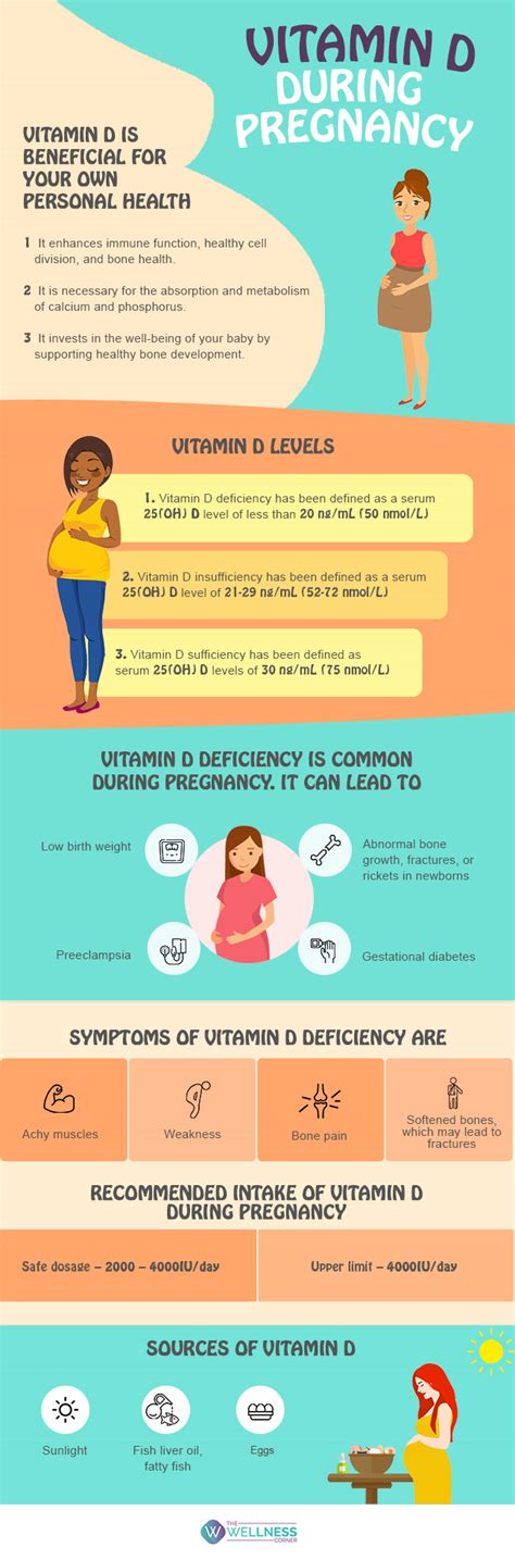 Vitamin D during Pregnancy - The Wellness Corner