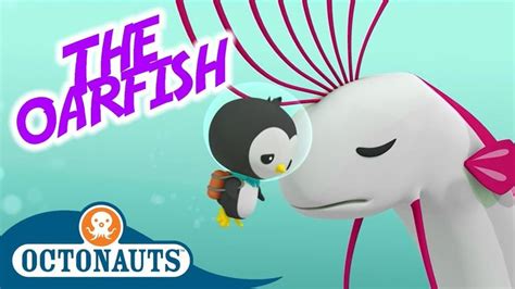 Octonauts - The Oarfish | Full Episode | Cartoons for Kids | Octonauts ...