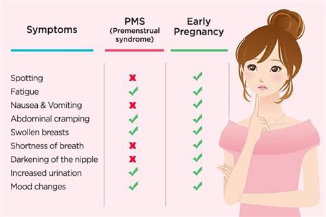 Pregnancy Cramping 5 Weeks : 5 Weeks Pregnant Symptoms Tips And More : Cramps are pretty normal ...