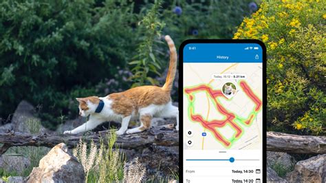 GPS Cat Tracker & Cat Collar with Activity Monitoring | Tractive