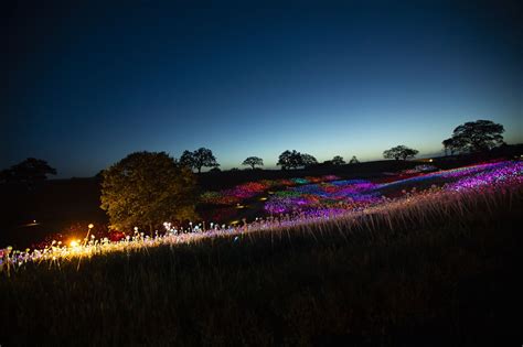 Photos: Getting lit at Paso Robles’ field of light - Los Angeles Times