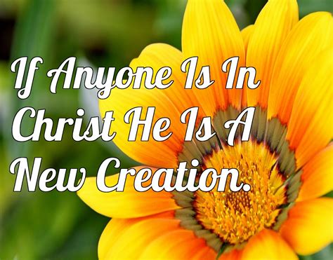 If Anyone Is In Christ He Is A New Creation