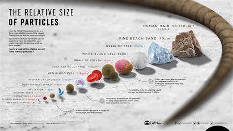 Comparing size of particles on Earth | Science | PiTribe