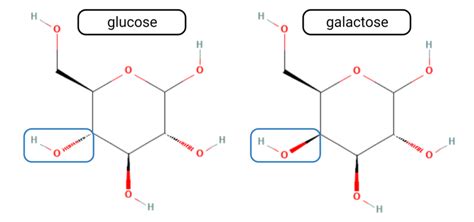 Galactose Structure Diagram