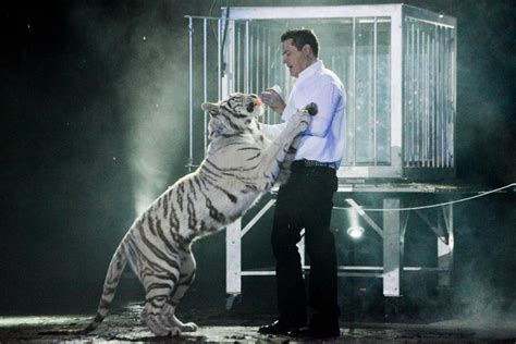 Las Vegas Strip Approves Magician’s Tiger-Free Tent Show - Casino.org