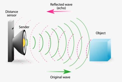 Diagram Of An Echo, HD Png Download - kindpng