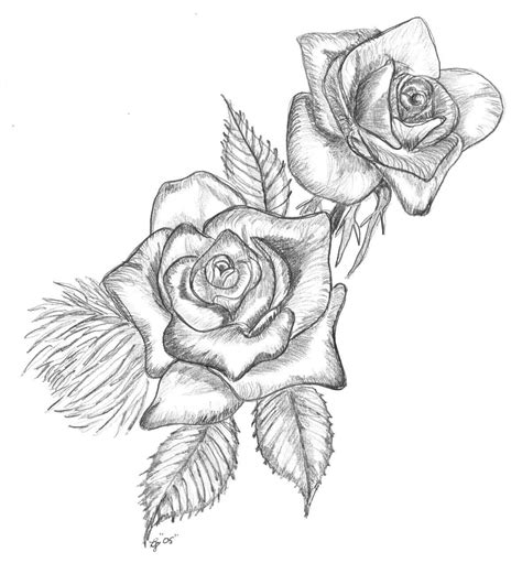 knumathise: Realistic Black And White Rose Drawing Images