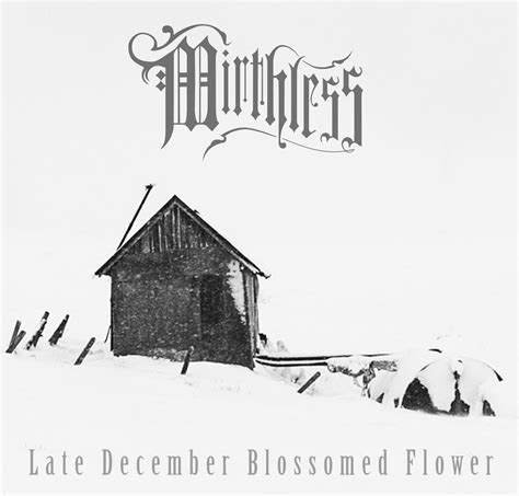 Late December Blossomed Flower by Mirthless (Album, Doom Metal): Reviews, Ratings, Credits, Song ...