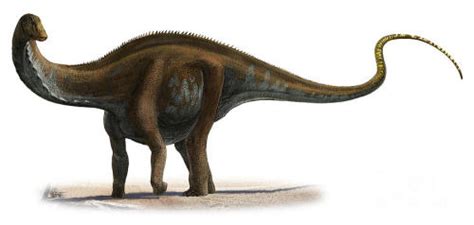 Apatosaurus | Paleo Media Wiki | Fandom