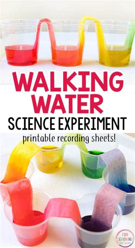 Easy Outdoor Science Experiments Kids