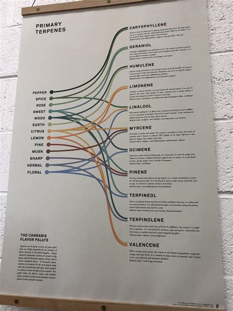 Terpenes Chart