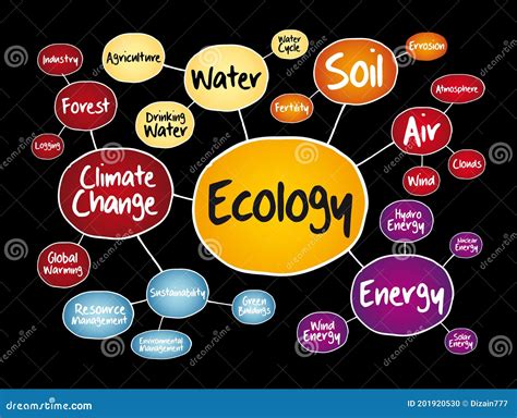 Ecology Mind Map Flowchart Concept for Presentations Stock Illustration - Illustration of ...