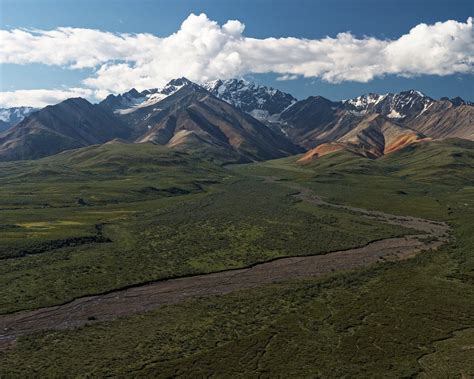 Summer - Denali National Park - Lee Petersen