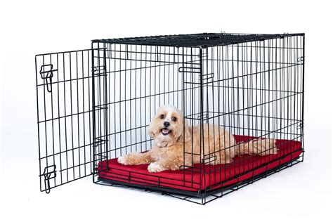 Solid Color Gorilla Ballistic Tough Orthopedic Dog Crate Pad™