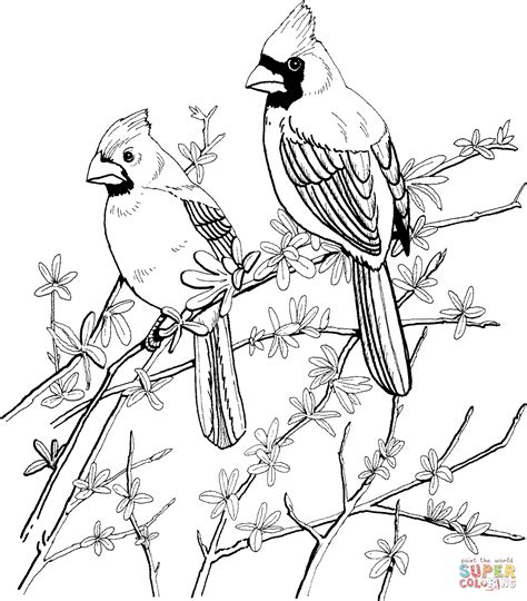 Printable Cardinal Coloring Page