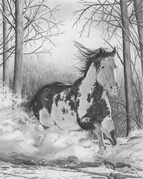 “Beau” Original Western Art Pencil Drawing - Barb Schacher Fine Art