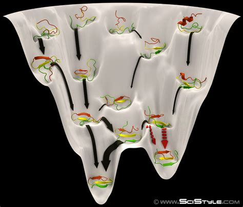 Protein Folding Funnel :: Behance