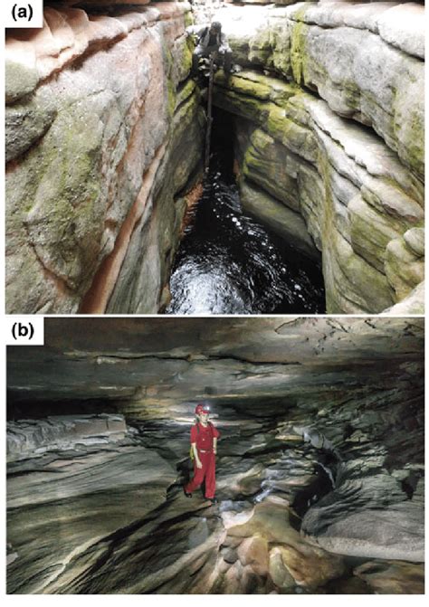 a Karst window that represents site IGA-3. b Stream passage of Torras... | Download Scientific ...