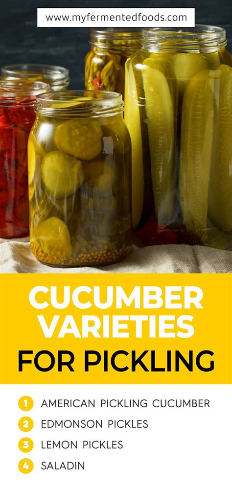 How to Make Pickled Cucumbers at Home - My Fermented Foods | Recipe | Cucumber varieties ...