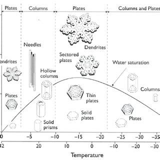 9: Transformation of snow to ice. (a) Modification of snow flakes to a... | Download Scientific ...