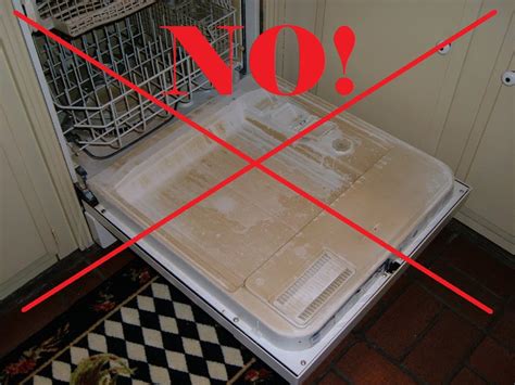 My American Confessions: Tuesday: How to Make DIY Dishwasher Cleaner