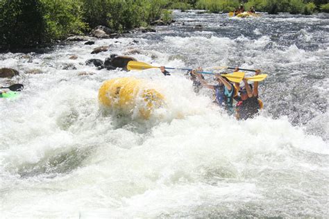 River Runners | American River Rafting