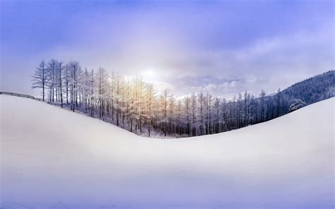 Nature winter, forest, snow, hill, sky, sun rays wallpaper | nature and ...