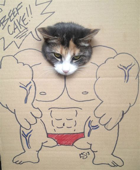 Funny Cardboard Kitty