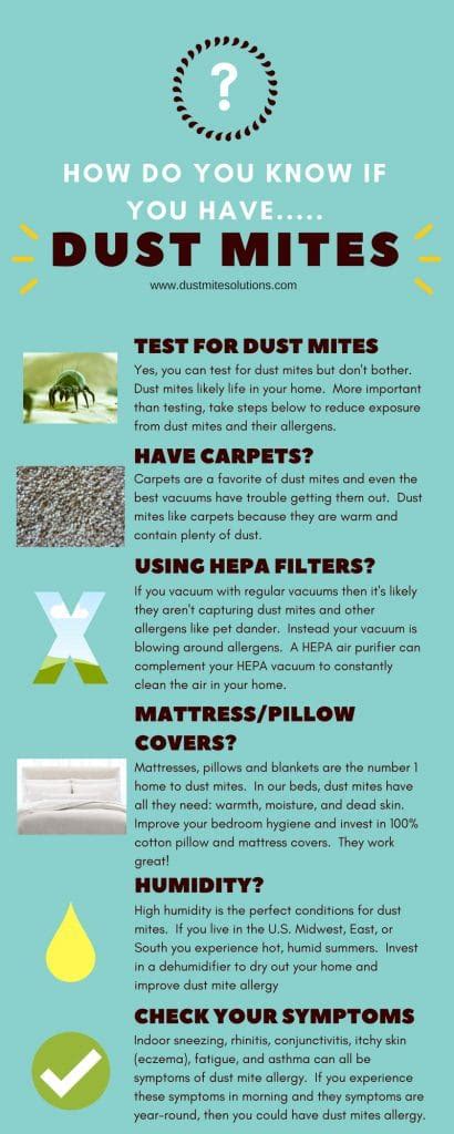 How Do You Know If You Have Dust Mites (My Protection Strategies)