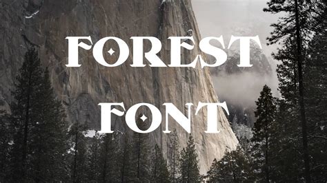 Forest Font Free Download