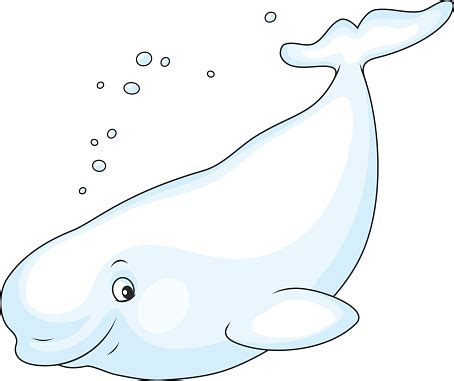 Beluga clipart 20 free Cliparts | Download images on Clipground 2024