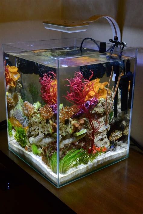 Saltwater Aquarium 30 Gallon | Aquarium Ideas | Pinterest | Saltwater aquarium and Aquariums