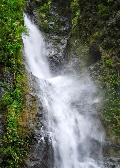 A Moorea Hiking Guide - This Rare Earth