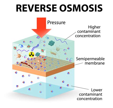 How Does Reverse Osmosis Work? - Advanced Water Solutions