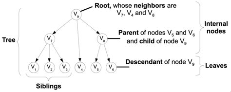 Illustration of graph theory terminology. | Download Scientific Diagram