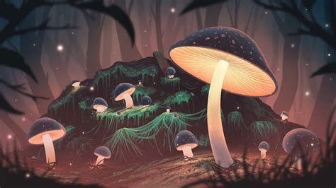 Glowing Mushroom [1920X1080] : r/wallpaper