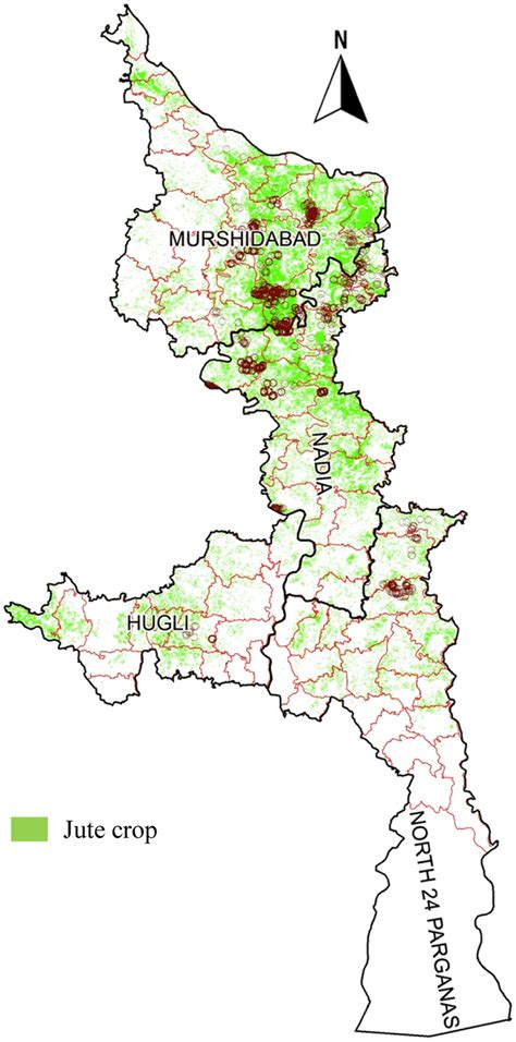 Satellite-derived jute crop map overlaid with field data | Download ...