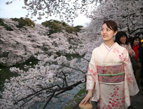 Photos: Cherry Blossom Season Arrives in Tokyo - Newsweek