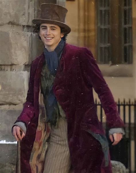 Timothee as willy wonka – Artofit