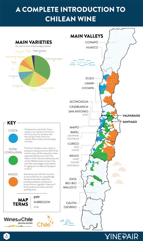 A Complete Introduction to the Wines of Chile: MAP | VinePair