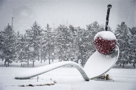 a snow covered park bench in the middle of a snowy day with trees and bushes behind it