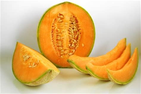 HOW TO GERMINATE AND GROW MELON PLANTS FROM SEED |The Garden of Eaden