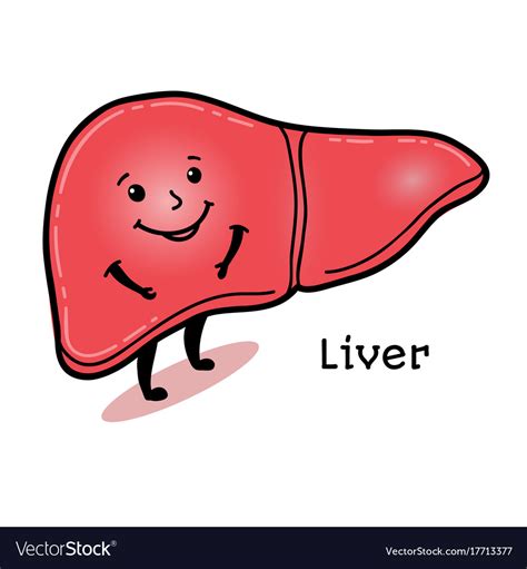 Cute and funny human liver character Royalty Free Vector