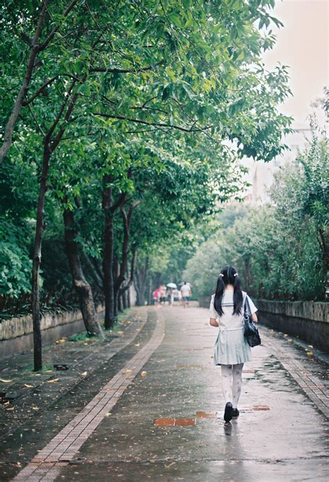 Free Images : tree, nature, forest, girl, hair, road, sunlight, morning ...